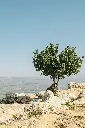 unsplash_lGyu5dKnCMA_Isreal.webp.jpg.jpg.jpg