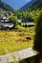 image_1920
