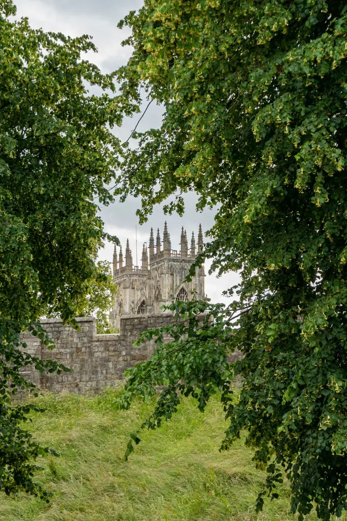 image_variant_1920