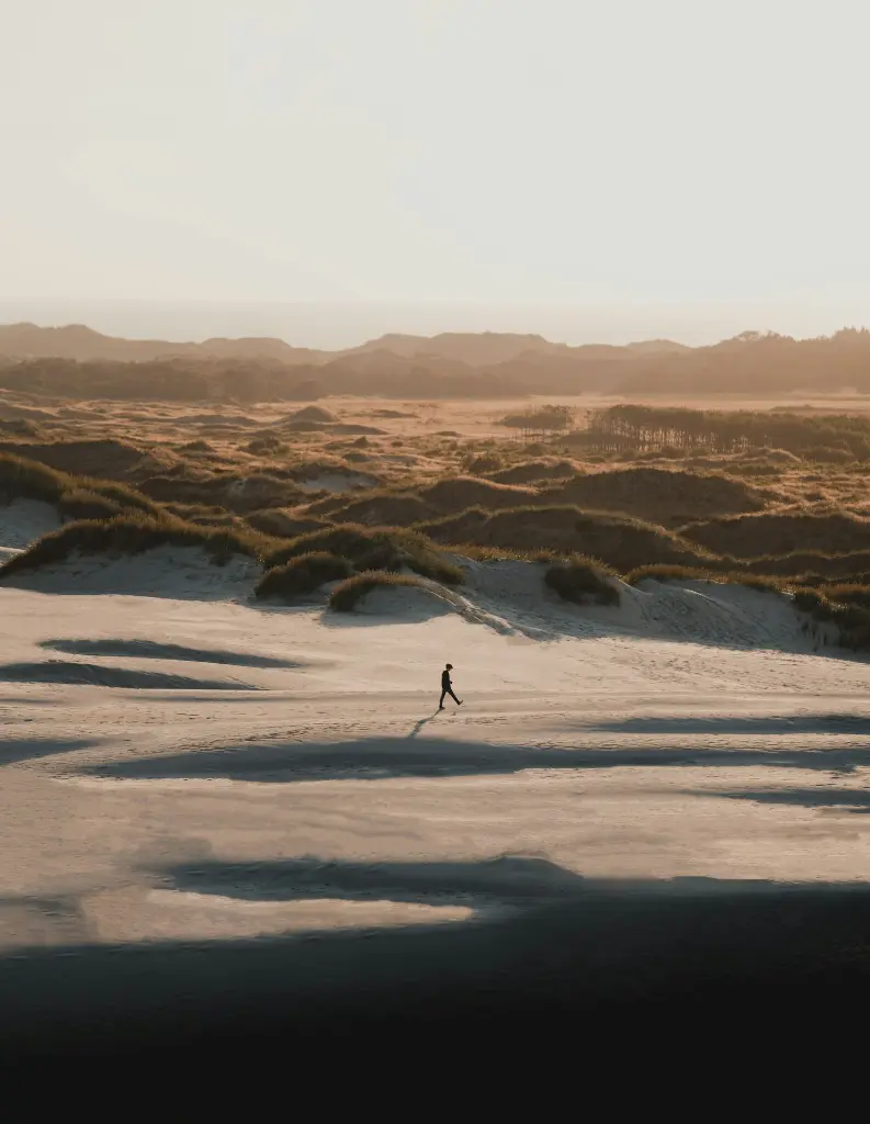 unsplash_bvHqefy0XBE_Denmark.webp.jpg.jpg.jpg.jpg.jpg.jpg.jpg.jpg.jpg