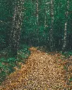 image_1920