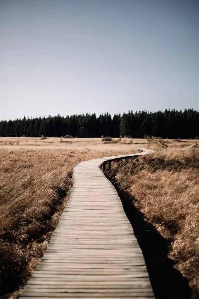 unsplash_rKH4CdXcsa4_Belgium.webp.jpg.jpg.jpg.jpg.jpg.jpg.jpg.jpg.jpg.jpg.jpg.jpg