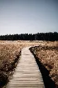 unsplash_rKH4CdXcsa4_Belgium.webp.jpg.jpg.jpg.jpg.jpg.jpg.jpg.jpg.jpg.jpg.jpg.jpg