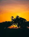 unsplash_3yK5vc5PLZU_Kenya.webp.jpg