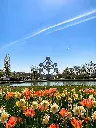 image_1920