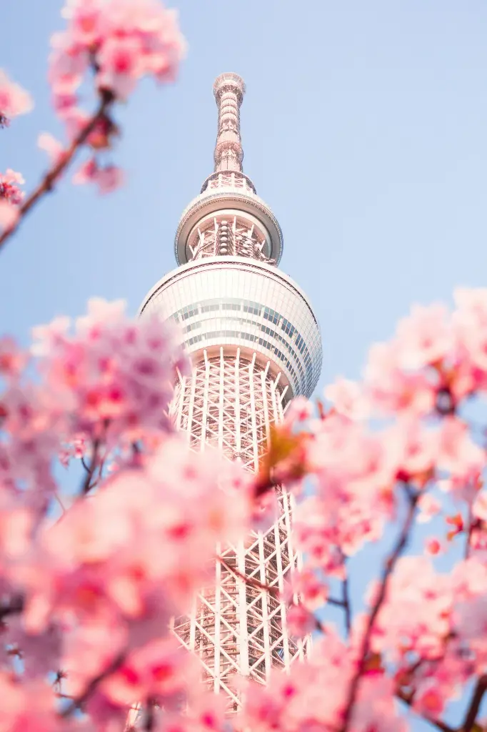 unsplash_LoZQWWzXJBw_Tokyo.webp.jpg.jpg