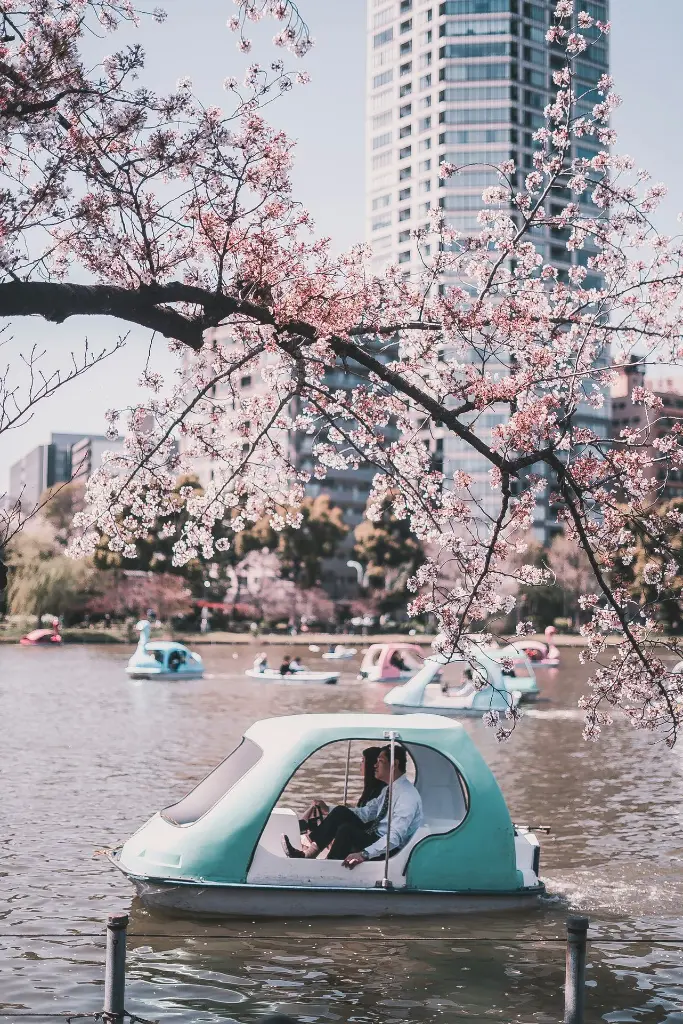 unsplash_iHU3ic36yeY_Tokyo.webp.jpg.jpg.jpg