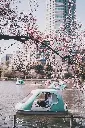 unsplash_iHU3ic36yeY_Tokyo.webp.jpg.jpg.jpg