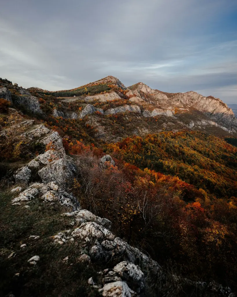 image_1920