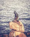 unsplash_dPBCss8HqR4_ COPENHAGEN FERRY.webp.jpg