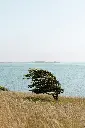 unsplash_R7sKEwl45Qk_Denmark.webp.jpg.jpg.jpg.jpg