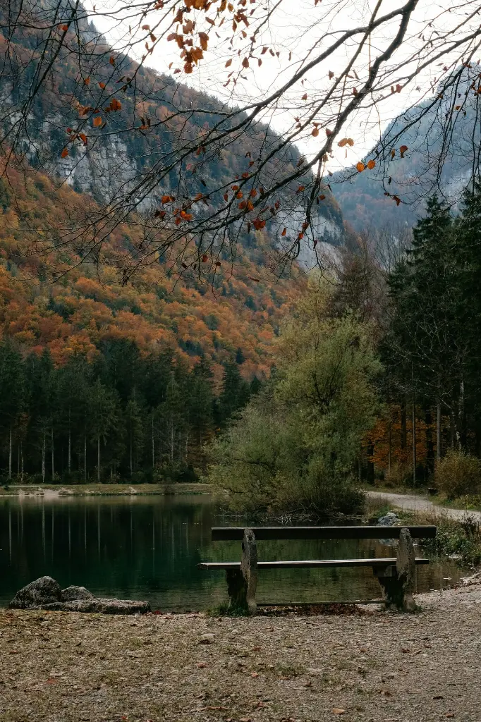 unsplash_rYnAOGcho-o_Austria.webp.jpg.jpg.jpg.jpg.jpg.jpg.jpg.jpg.jpg.jpg.jpg.jpg.jpg.jpg.jpg.jpg.jpg