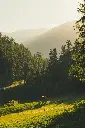 image_1920
