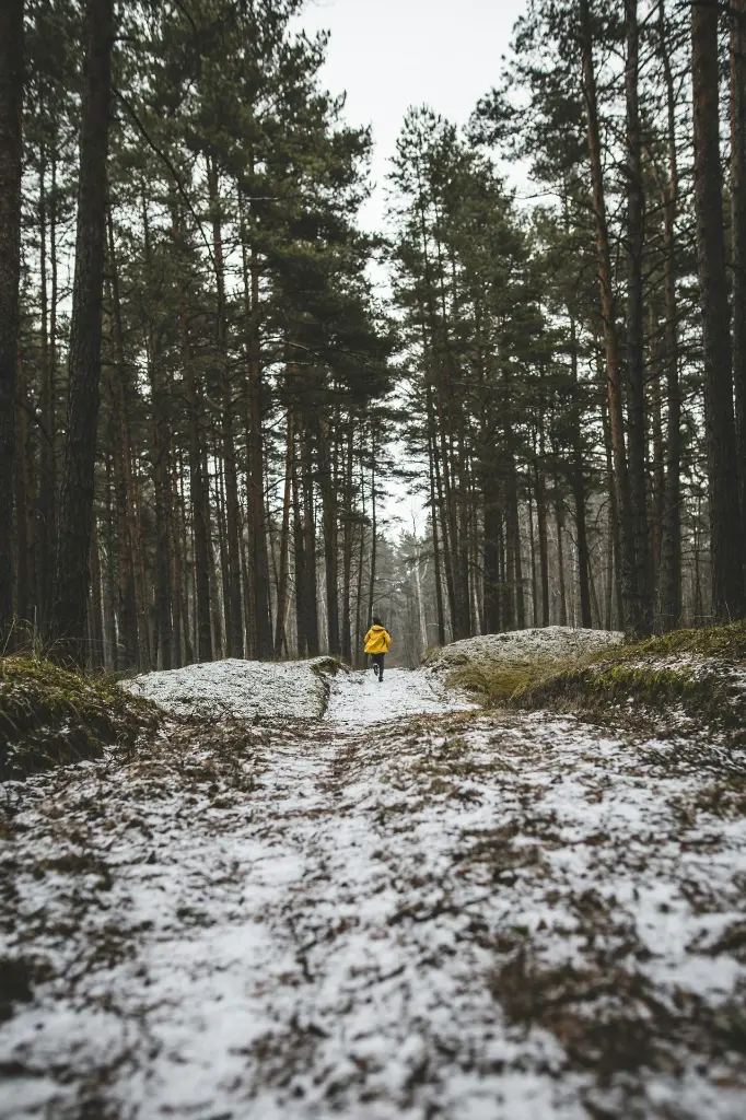 unsplash_iXZT3NduM9U_Latvia.webp.jpg.jpg.jpg.jpg.jpg.jpg.jpg