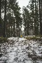 unsplash_iXZT3NduM9U_Latvia.webp.jpg.jpg.jpg.jpg.jpg.jpg.jpg