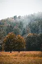image_1920