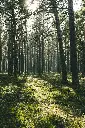 image_1920