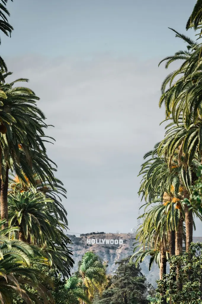 unsplash_ZoZQmefhS9c_USA.webp.jpg.jpg.jpg.jpg.jpg.jpg