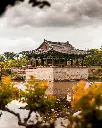 unsplash_P1YOfQupYzA_BUSAN.webp.jpg.jpg.jpg