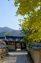 unsplash_0pFroaSFU88_BUSAN.webp.jpg.jpg.jpg.jpg