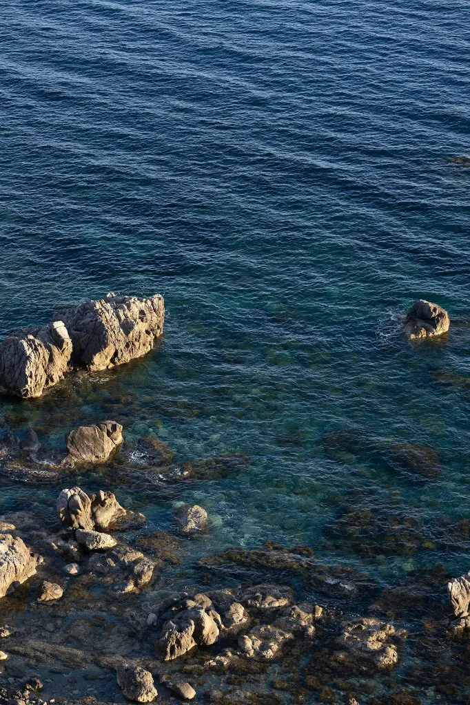 unsplash_PkxsidU2TQM_PALERMO.webp.jpg.jpg.jpg