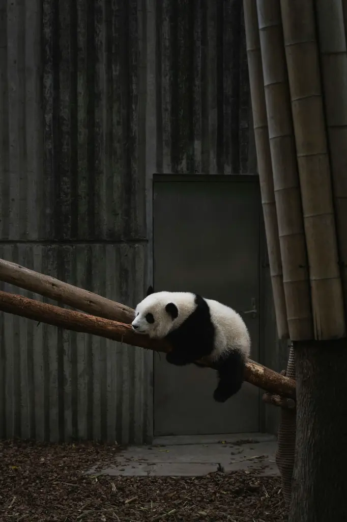 unsplash_K22SK31G-QM_CHINA.webp.jpg.jpg.jpg.jpg.jpg