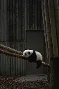 unsplash_K22SK31G-QM_CHINA.webp.jpg.jpg.jpg.jpg.jpg