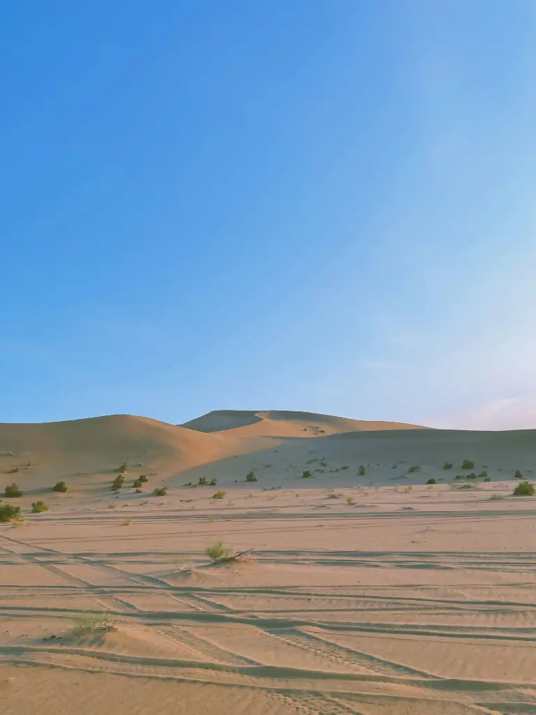 unsplash_XyMXapu0itA_CHINA.webp.jpg.jpg.jpg.jpg.jpg.jpg.jpg.jpg.jpg