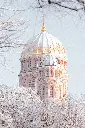unsplash_awY-ljwSKqI_Latvia.webp.jpg.jpg.jpg.jpg.jpg.jpg.jpg.jpg