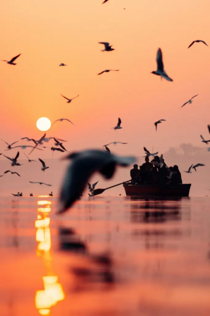 unsplash_SD3Pe5alyEM_River Yamuna.webp