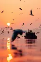 unsplash_SD3Pe5alyEM_River Yamuna.webp