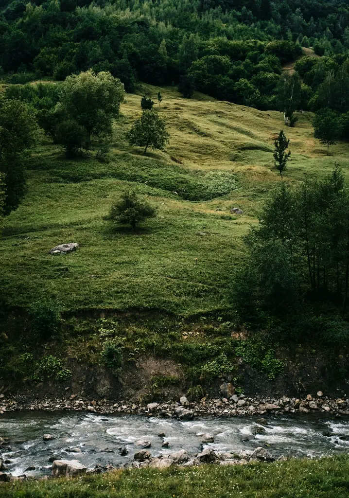 unsplash_wULMg4PmCVE_Neitherlands.webp.jpg.jpg