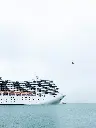 unsplash_2DUYdM_2vtQ_Cruise.webp.jpg.jpg.jpg.jpg.jpg.jpg.jpg.jpg