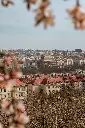 unsplash_WIysHPkm50E_CZECH REPUBLIC.webp.jpg.jpg.jpg.jpg.jpg
