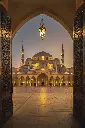 unsplash_cHy22kPk1ss_Falcons.webp.jpg.jpg.jpg.jpg.jpg.jpg