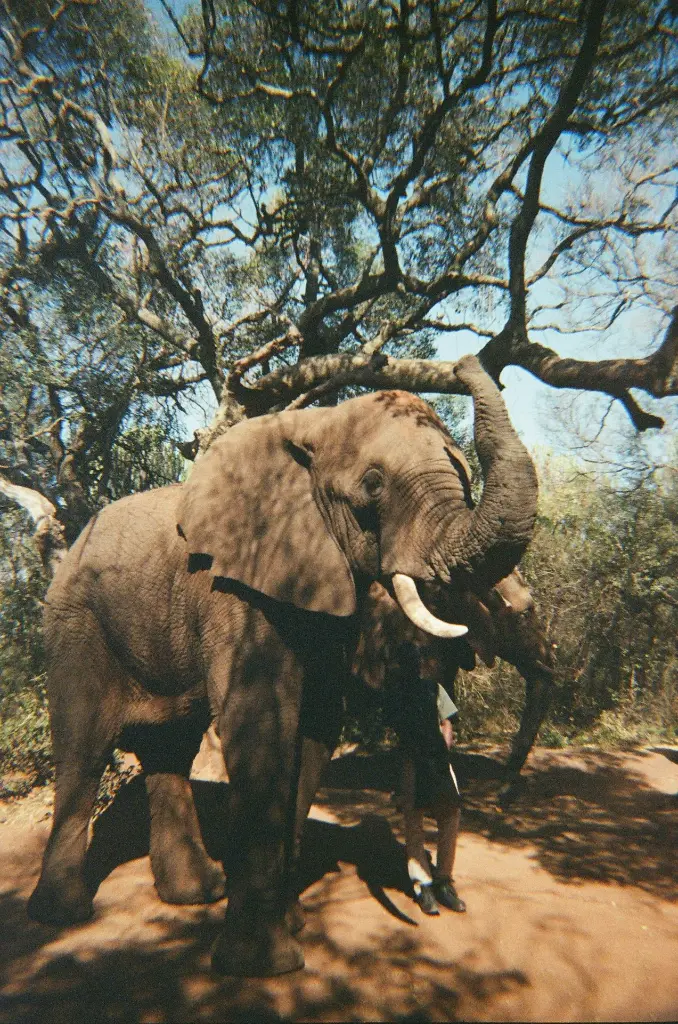 unsplash_FvtxJ0OGZ-8_Phu Quoc.webp.jpg.jpg.jpg