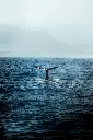 unsplash_VziuvwpGatM_Wellington.webp.jpg