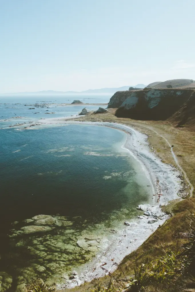 unsplash_5hCwlLI87pg_Wellington.webp.jpg.jpg