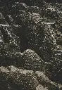 unsplash_gxOIwb9vzIc_Wellington.webp.jpg.jpg.jpg