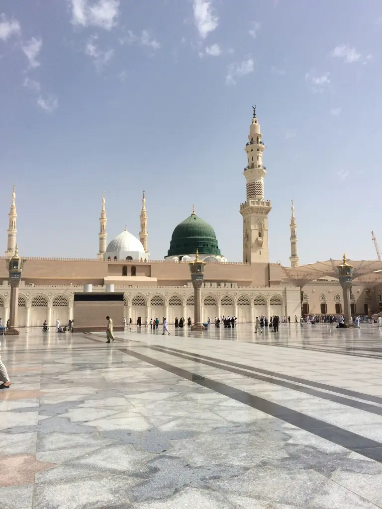 unsplash_YLdYVzHopto_Alula.webp.jpg