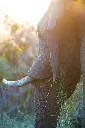 unsplash_iFMbwfuYvS8_South Africa.webp.jpg