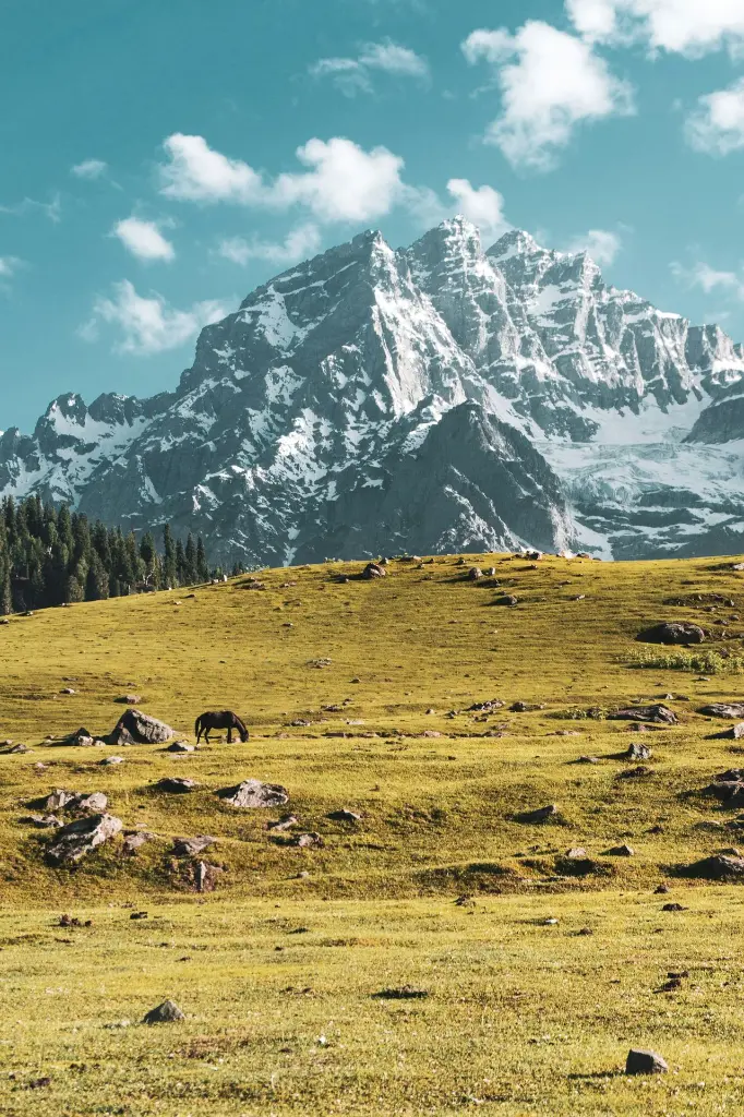 unsplash_uIcVnnegum4_Himalayas.webp