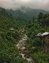unsplash_5sb5UttQrHI_Himachal.webp