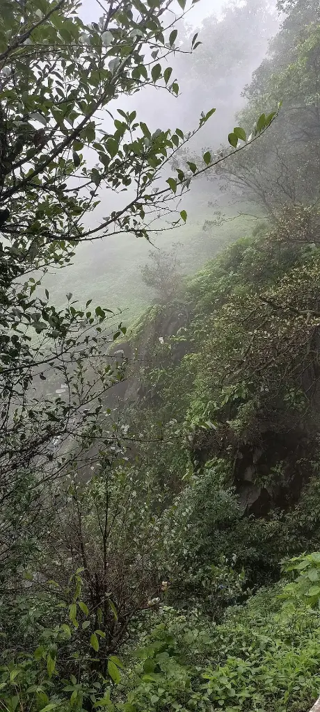 unsplash_xbpkh_AR55k_Maharashtra.webp.jpg