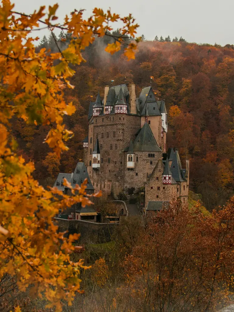 unsplash_cR88oyyXdPk_Germany.webp.jpg.jpg.jpg