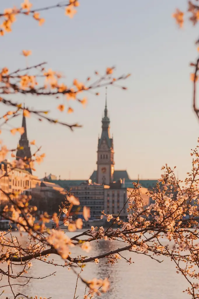 unsplash_Pl_tSzj6sos_Germany.webp.jpg.jpg.jpg.jpg