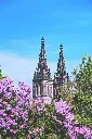 unsplash_JSqUUHqaU8Y_Prague .webp