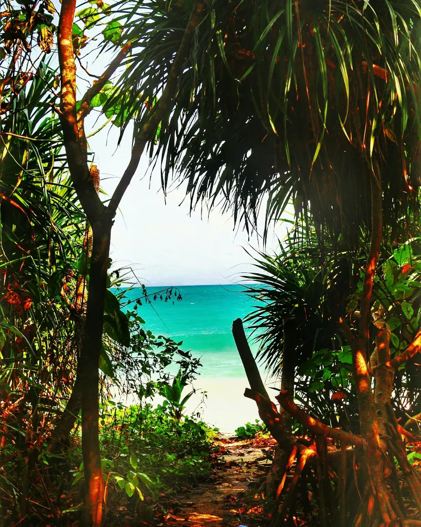 unsplash_CvjQDarIHfM_Andaman.webp.jpg.jpg