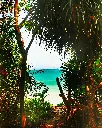unsplash_CvjQDarIHfM_Andaman.webp.jpg.jpg