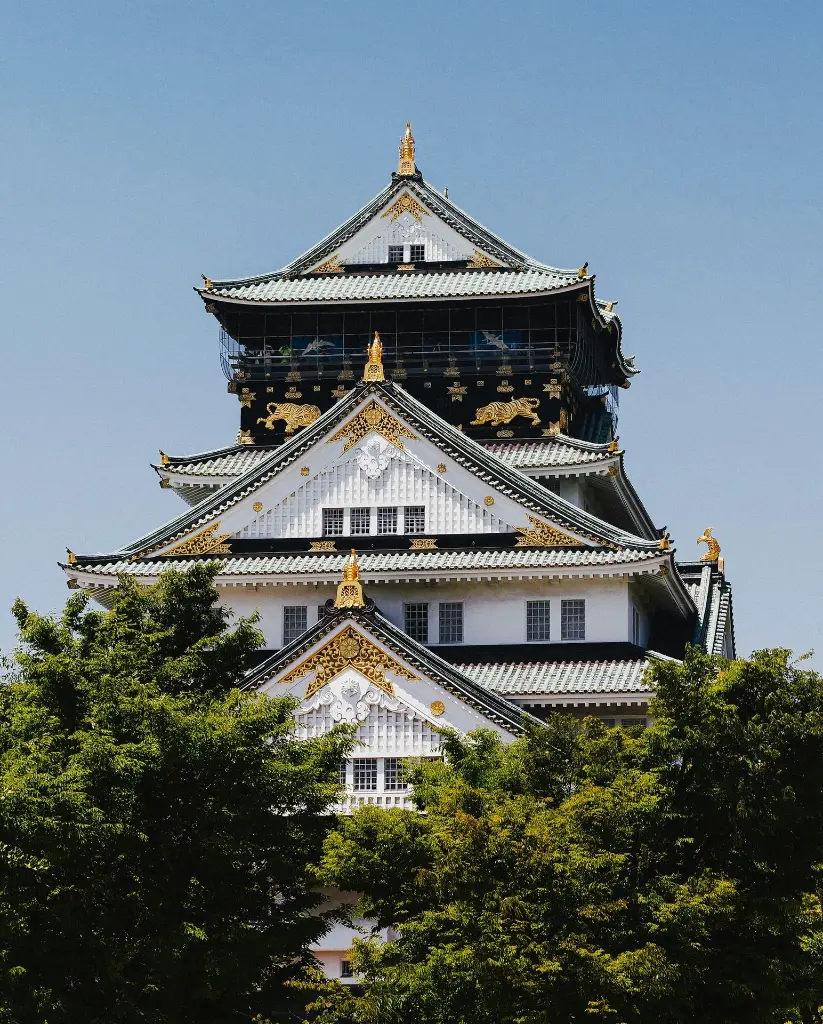 unsplash_kUQPX2kp8S8_Senso-Ji.webp.jpg.jpg.jpg.jpg.jpg.jpg.jpg